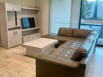 Departamento en renta Jacarandas, Jardín, San Luis Potosí, México