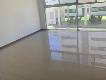 Departamento en renta Oxxo, Avenida Federalistas, Colinas Del Rey, Zapopan, Jalisco, 45130, Mex