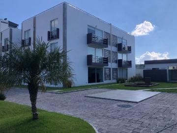 Departamento en renta Solares 3001, Santiago Momoxpan, San Pedro Cholula, Puebla, México
