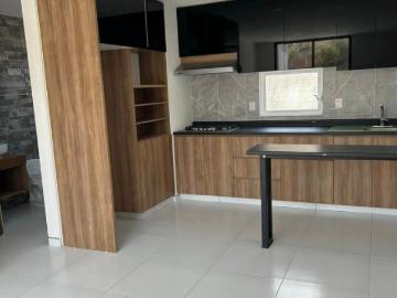 Departamento en renta planta baja en Quinta Cantera