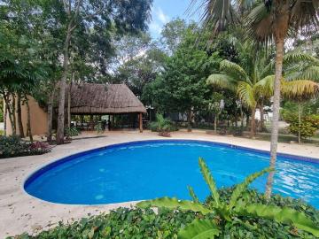 Departamento en renta Playa Del Carmen, Quintana Roo