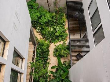 Departamento en renta Playa Del Carmen, Quintana Roo