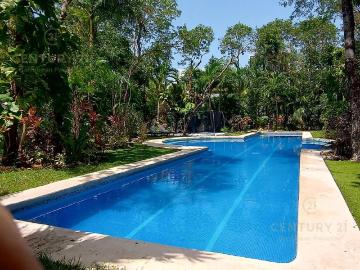 Departamento en renta Playa Del Carmen, Quintana Roo