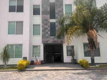 Departamento en renta Privada Gladiolas 20, Campestre Morillotla, San Andrés Cholula, Puebla, México