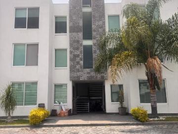 Departamento en renta Privada Gladiolas 20, Campestre Morillotla, San Andrés Cholula, Puebla, México