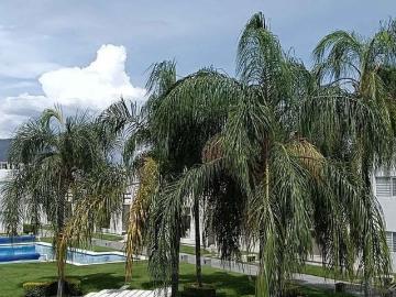 Departamento en renta Privada Prados De Violetas, Los Prados Oacalco, Colonia Campo La Providencia, Yautepec, Morelos, 62732, Mex