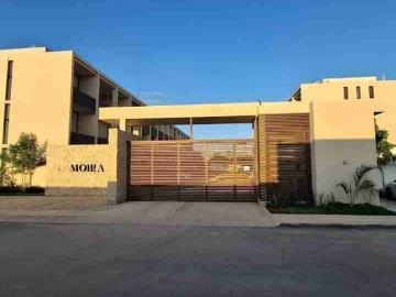 Departamento en renta Temozón, Yucatán, México