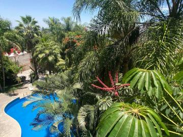 Departamento en renta Triumph Tower Las Quintas, Privada Colima, Jacarandas, Cuernavaca, Morelos, México