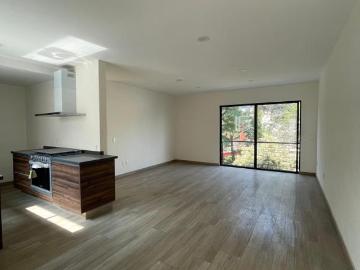 Departamento en Venta Colonia Popotla