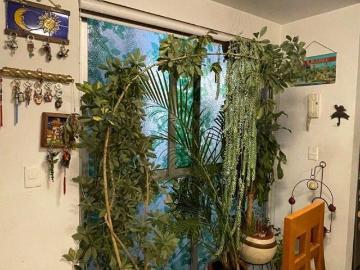 Departamento en venta en Col Álamos