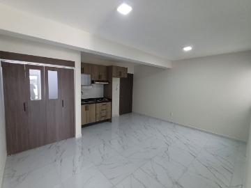 Departamento en Venta en Pedregal de Santa Úrsula, Coyoacán, Ciudad de México
