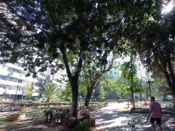 Departamento en Venta en Providencia 3 dormitorios 2 baños