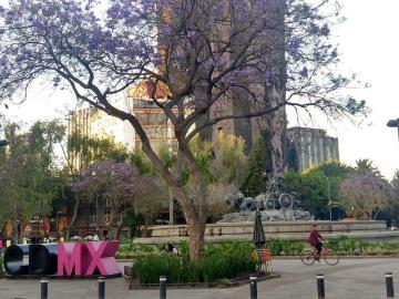 Descuento del 3% Departamento en venta en Roma Norte 0 Rec?maras