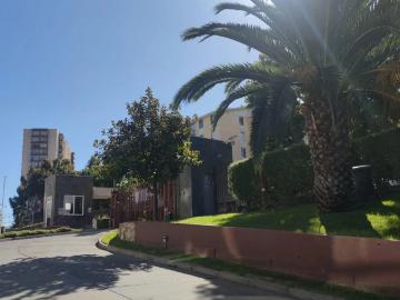 Departamento en Viña del Mar