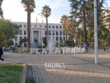 Departamento en Ñuñoa