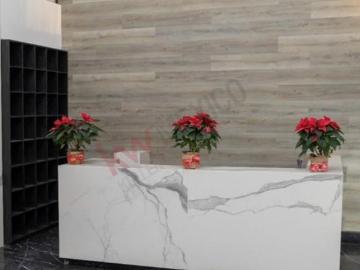 DEPARTAMENTO LOFT EN VENTA EN JESUS MONTE