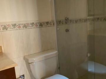 Departamento Palo Solo
