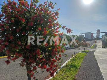 DEPARTAMENTO PLANTA BAJA EN RENTA PRIVALIA