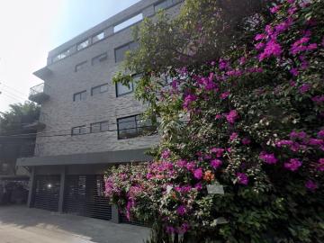 Departamento Roma Sur