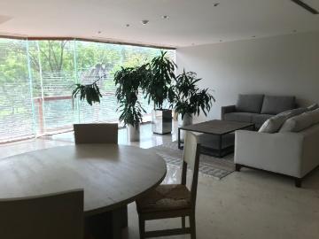 departamento renta amueblado campos elíseos