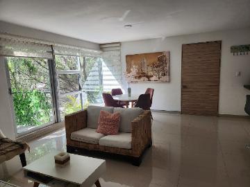 Departamento Terranza