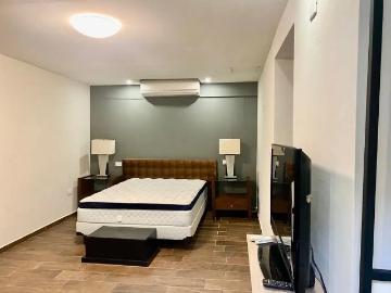DEPARTAMENTO TIPO LOFT AMUEBLADO CENTRITO VALLE