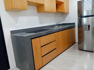 Departamento Tipo Loft En Renta Col. 23 de Julio
