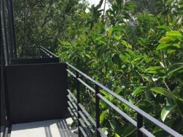Departamento tipo PH en Venta Condesa, Cuauht?moc, CDMX