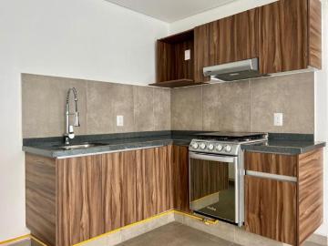 Departamento Venta Revolucion 793 Roof Garden Priv