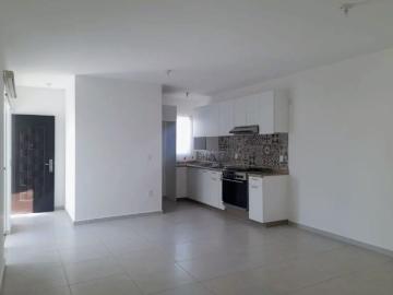 Departamento Z?kia