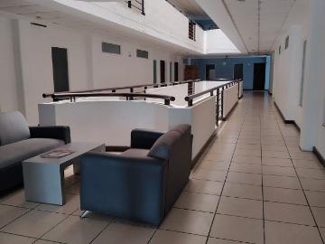 Departamentos a unos pasos del TEC de Mty
