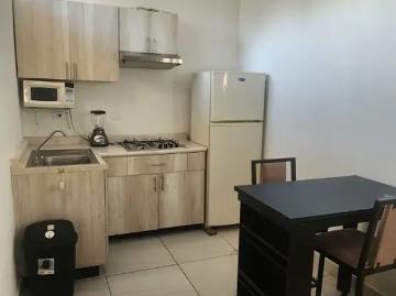 Departamentos tipo loft amueblados en renta en Loma Blanca