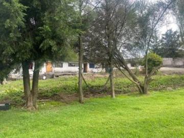 DEPARTAMENTOS Y TERRENO CONOCOTO AMAGUAÑA