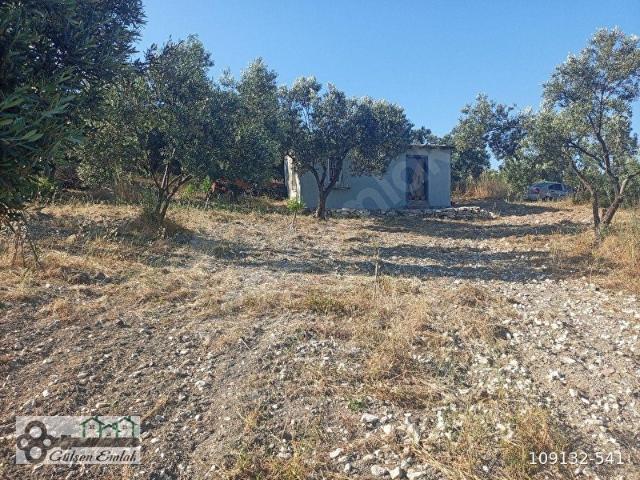Depo, Tarımsal İşleme Tesisi, Ev kaydı Bulunan Arazi