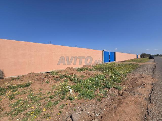 Dépôt à vendre à Issen Ouled Teima