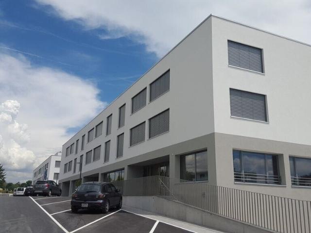 Warehouse for rent in Saint Sulpice 21 m² | dreamo. Ch