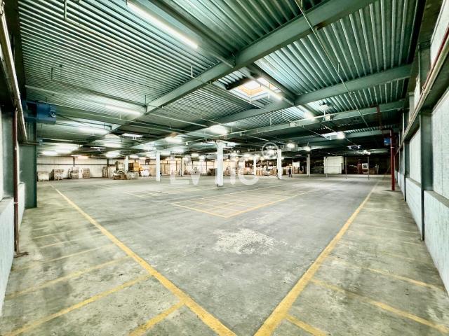 Warehouse for rent in Adresse sur demande 2 200 m² | dreamo. Ch