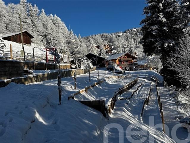 Der Glücksstern Chalet mit 3 Baugrundstücken