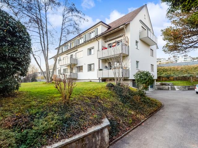 Der Zürichsee ruft