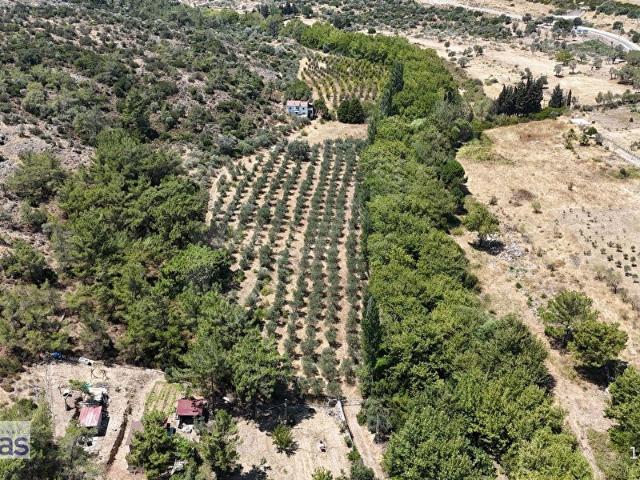 DERE KENARINDA, RESMİ YOLU OLAN SAKLI BAHÇE