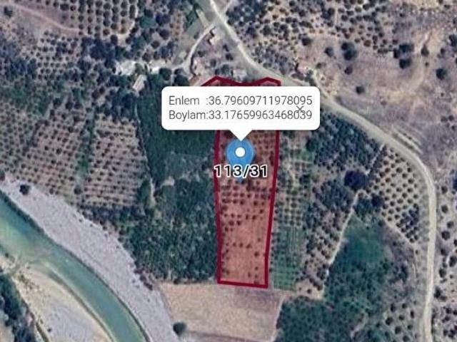 DEREYE SIFIR KURULU DÜZEN SATILIK FIRSAT BAĞ&BAHÇE