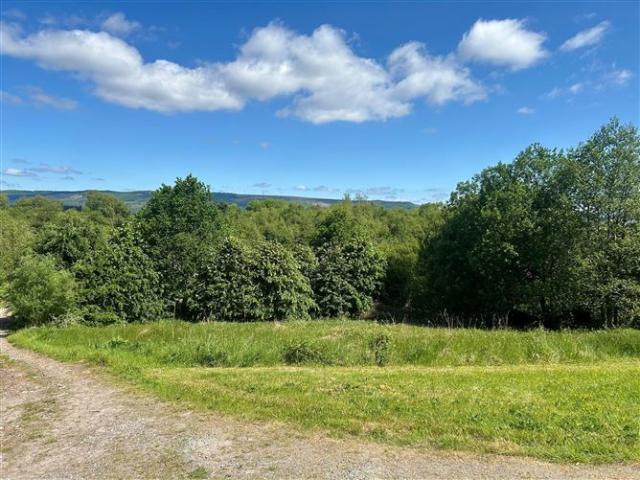 Derreenadouglas, Keadue, Boyle, Roscommon Gallagher Auctioneers Ltd 4937 MyHome. Ie Residential