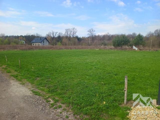 Deszczowa 1 003 m², Połomia