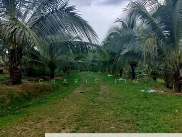 Desa Mamuk, Kampung Lukut