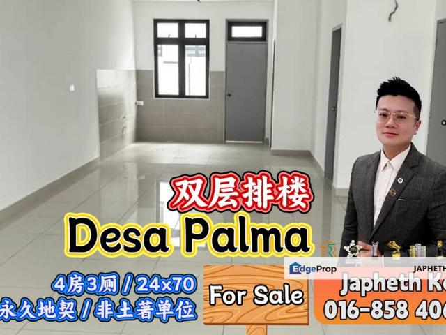 Desa Palma, Nasa City