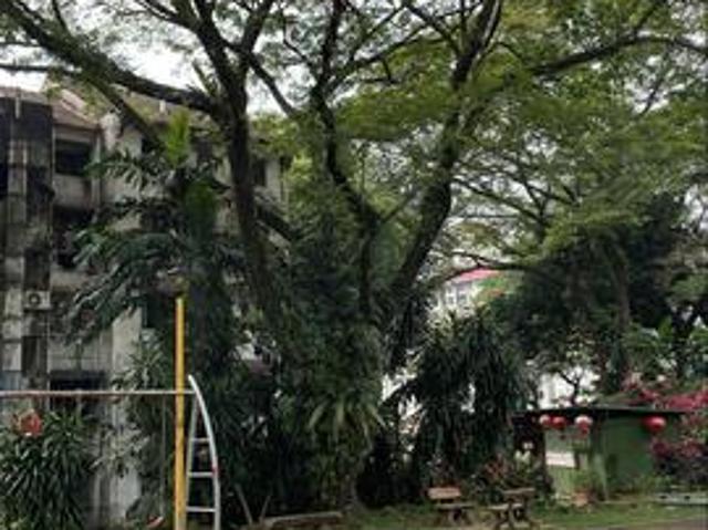 Desa Petaling Flat