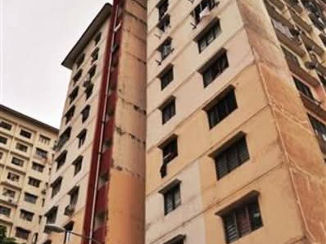 Desa Sri Puteri, Desa Petaling