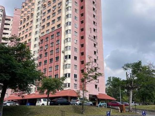 Desaminium Flora For Sale in Seri Kembangan Level 8 Blok Cempaka