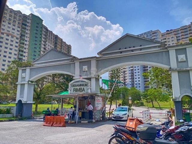 Desaminium Rimba Blok Merbau