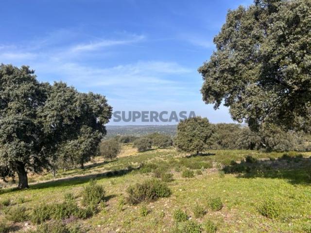 Descubra a Herdade da Lomba: Um Tesouro Rural no Rosmaninhal